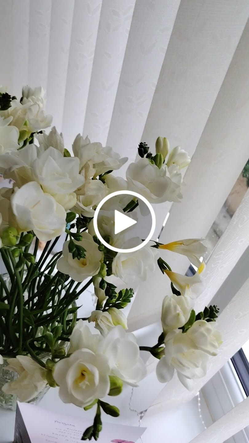 Customer video review of White Guernsey Long Stem Freesia Flowers