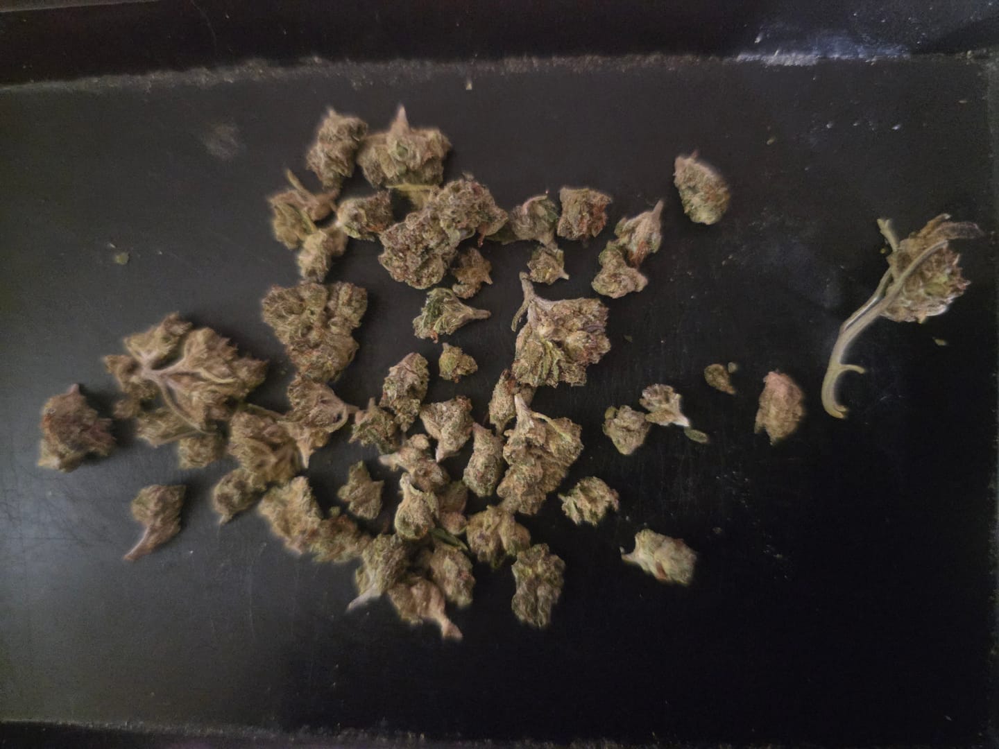 Customer photo review of Caramel Apple - Micros - 28 Grams - Hybrid