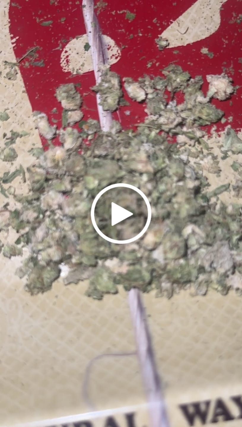 Customer video review of Cheap THCA Smalls Quarter Pound