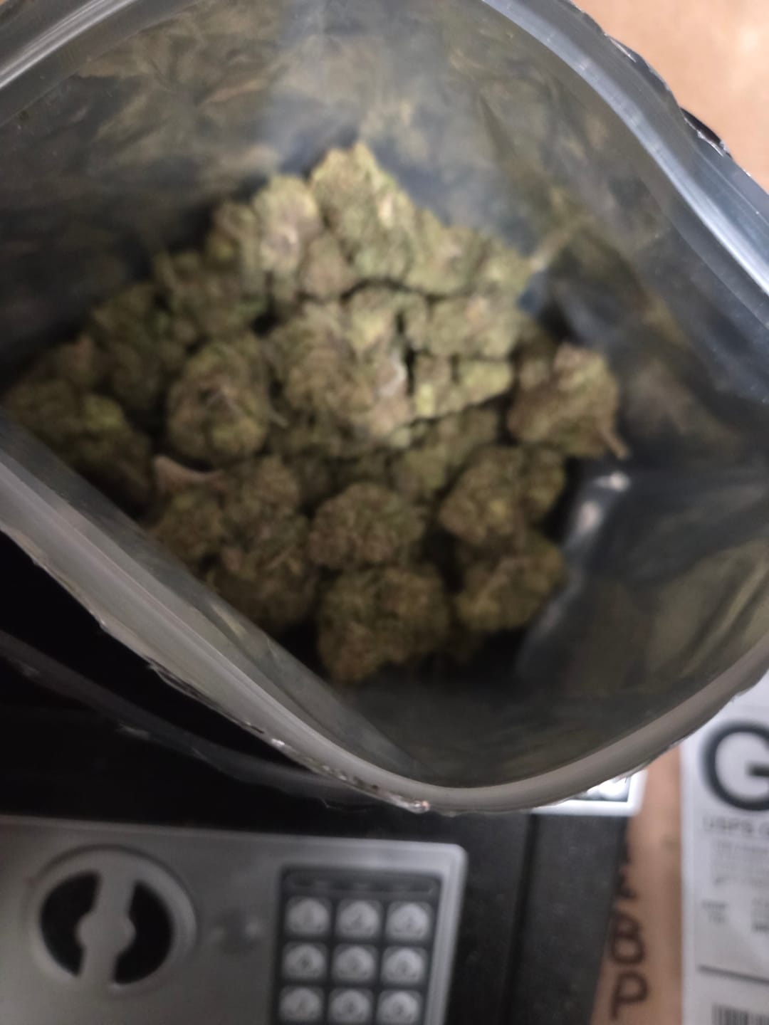 Customer photo review of THCA Queen