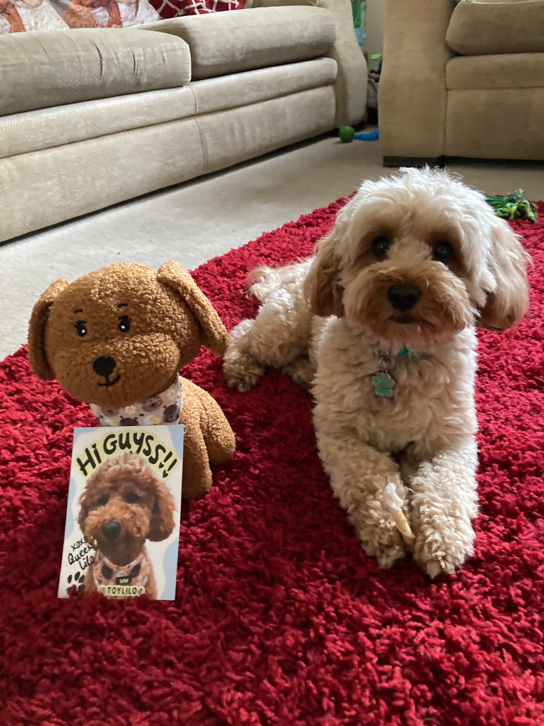 Customer photo review of Toy Lilo Plushie
