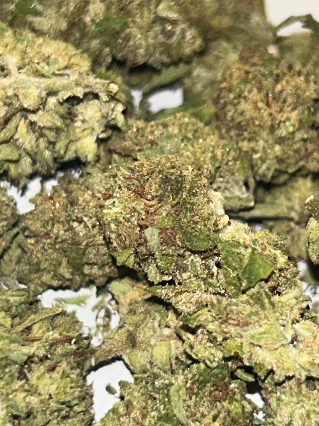Customer photo review of Cheap THCA Flower Ounce