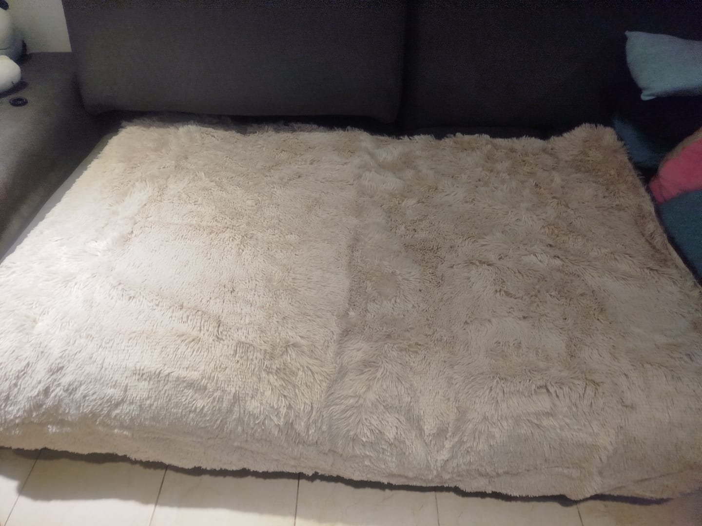 Customer photo review of Cobija Impermeable para Perros
