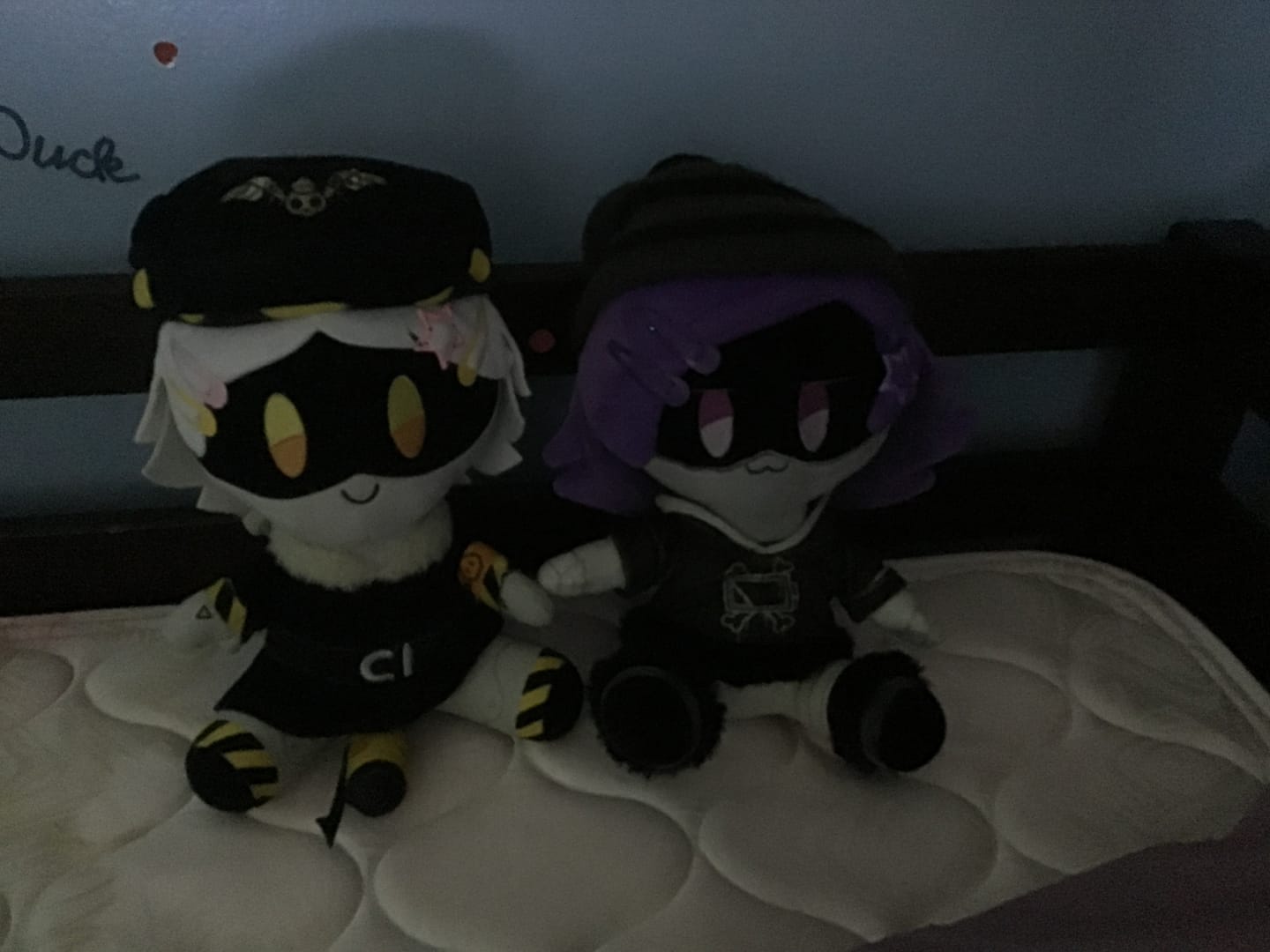 Customer photo review of N Plush