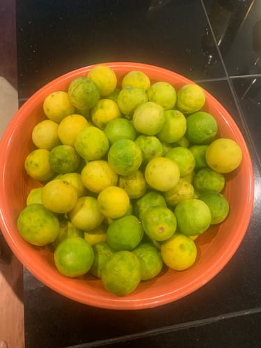 Customer photo review of Organic Key Limes 3 lbs