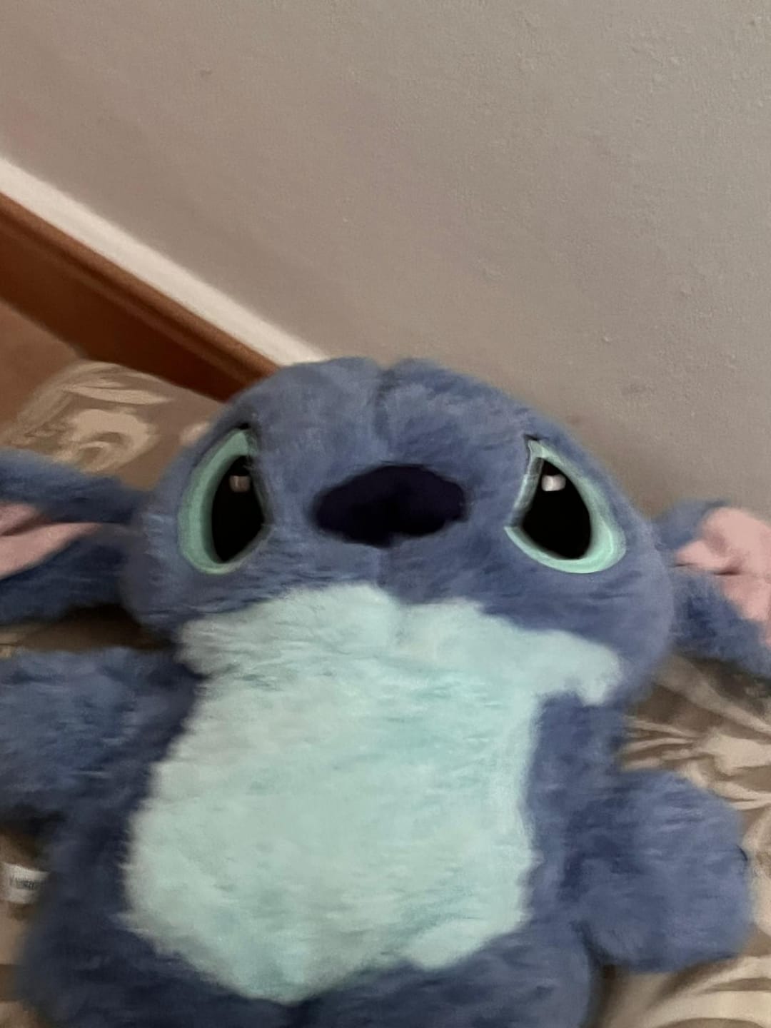 Customer photo review of Peluche Térmico para Dormir y Descansar