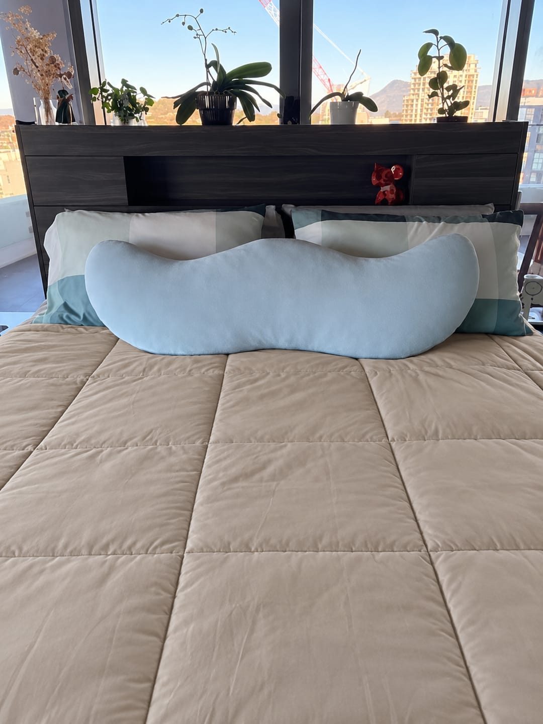 Customer photo review of Vondaal® – Comfortkussen