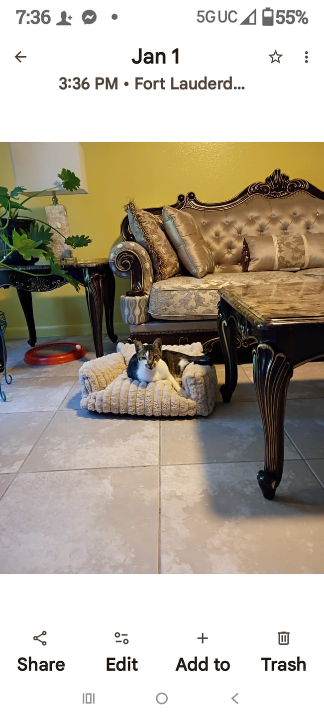 Customer photo review of FurLife™ - 8 Months Flea and Tick Free