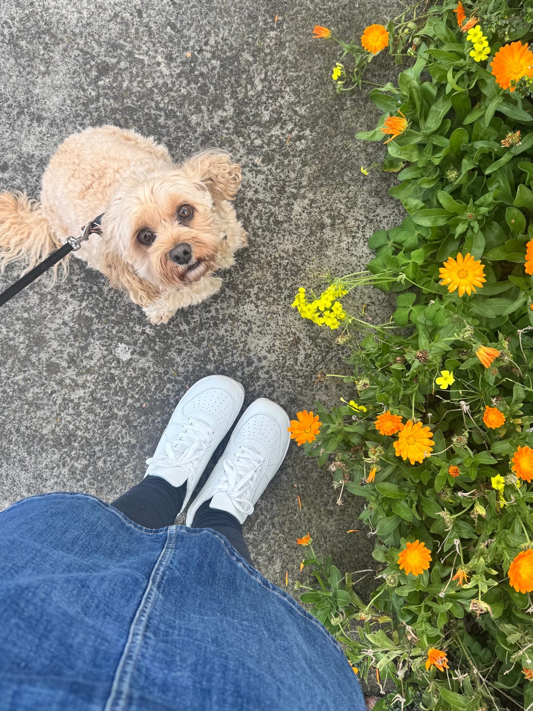 Customer photo review of WHITE LOW 2.0 | SNEAKERS - ADULTS