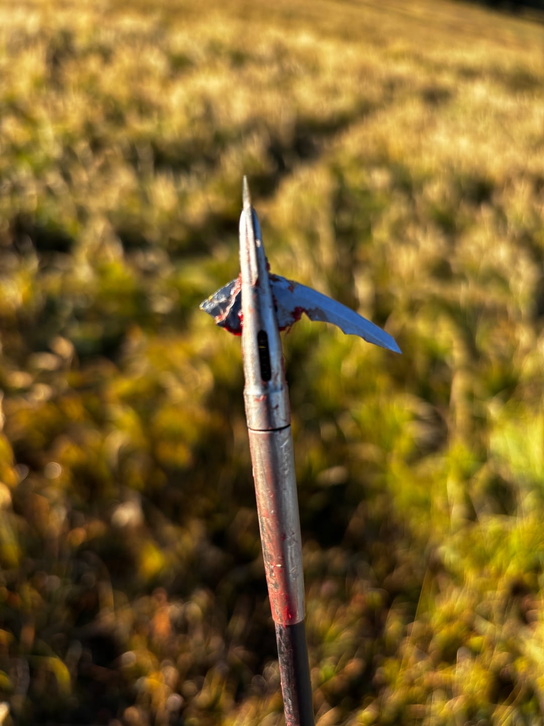 Customer photo review of Cut on Contact Titanium Broadheads (3 Pack)