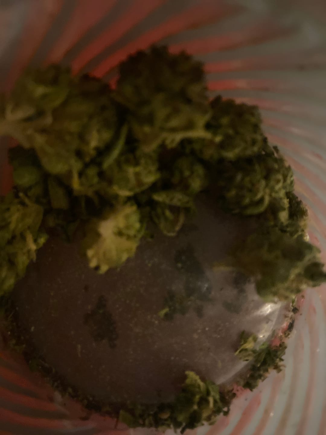 Customer photo review of Candy Gas Light Assist THCA