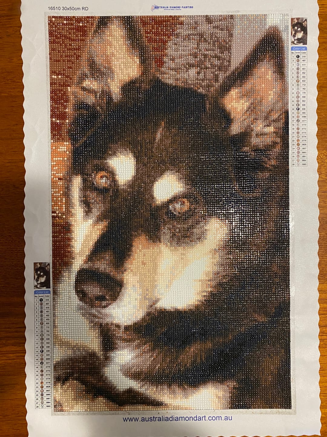 Customer photo review of Custom Diamond Painting