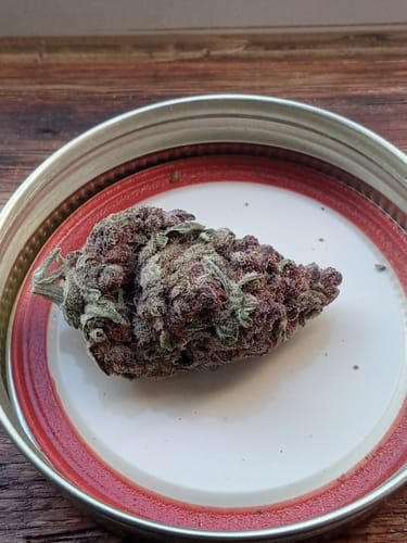 Customer photo review of Tropicana Cherry THCA Flower