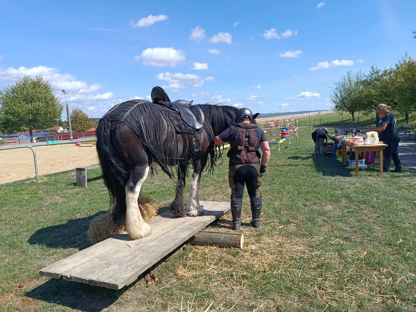 Customer photo review of Reitleggings Lando V2