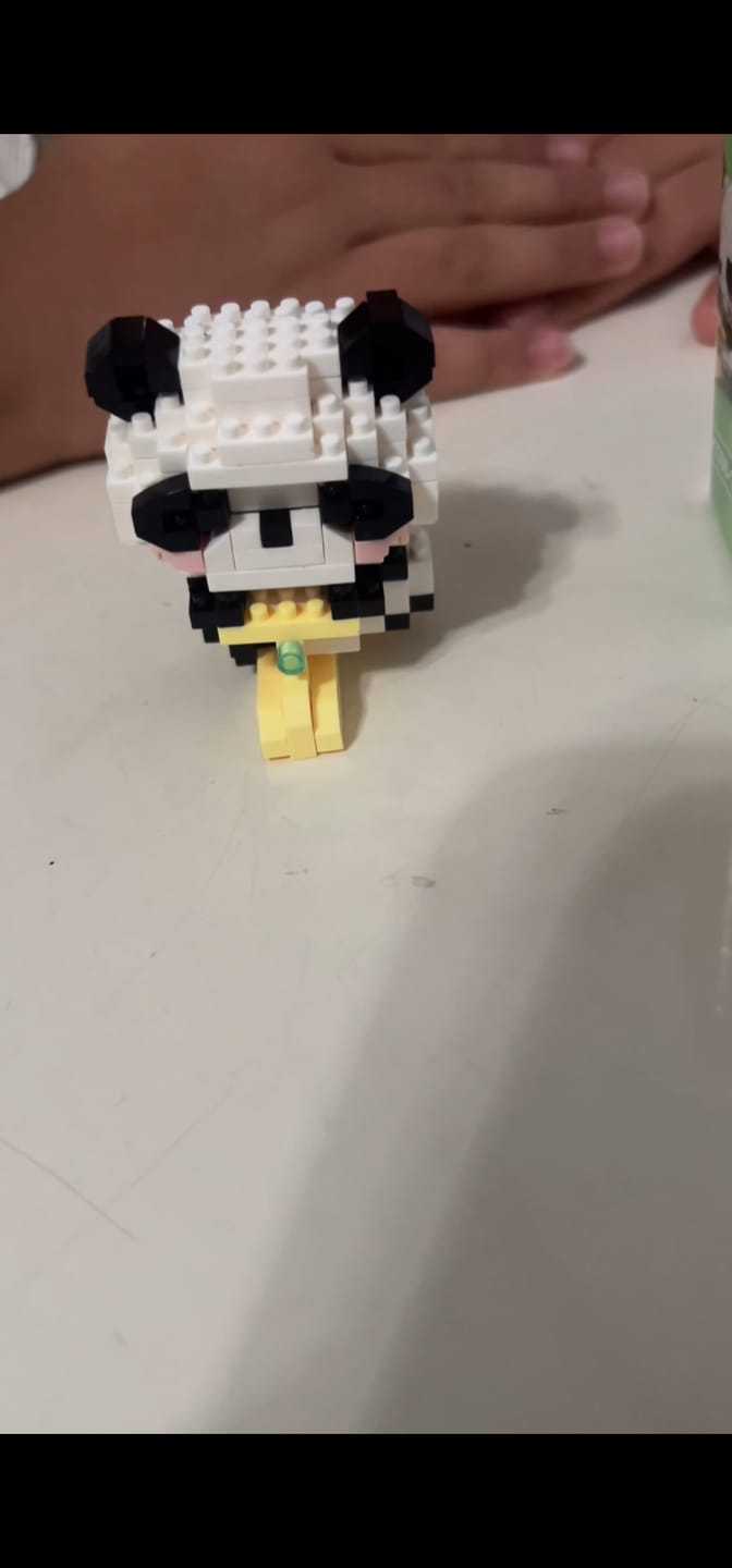Customer photo review of SEVİMLİ PANDA MİNİ LEGO