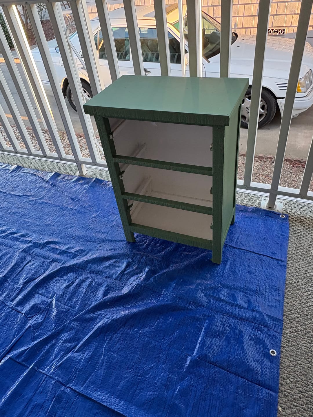 Customer photo review of One Step Paint | English Boxwood