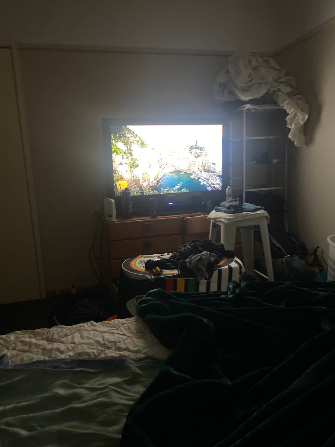 Customer photo review of Furlush Waterproof Splash Blanket™ - Emerald Green