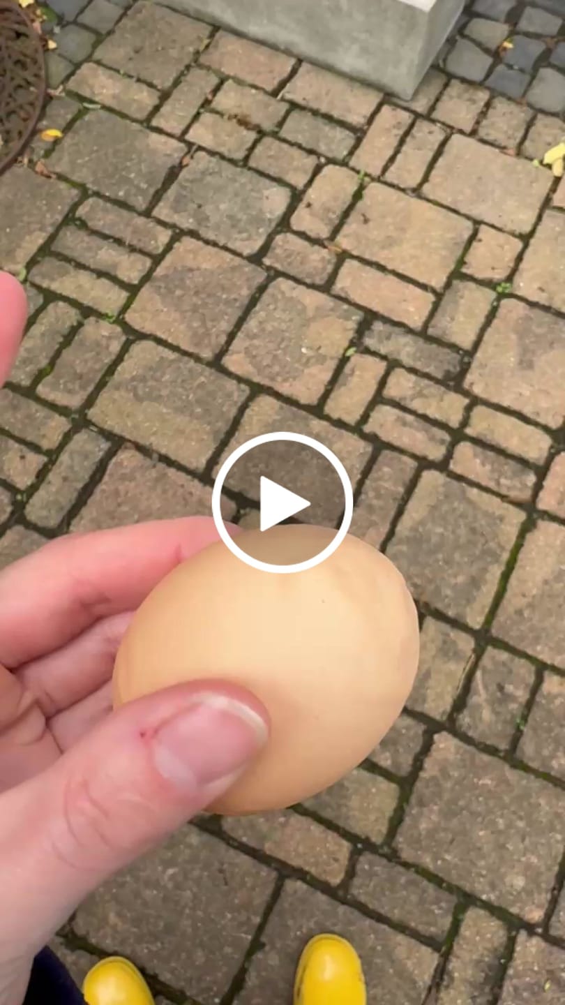 Customer video review of Calcifit + D3  für stabile Eischalen und ausgeglichenes Wachstum