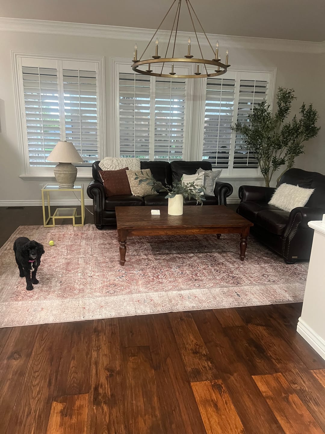 Customer photo review of Distressed Vintage Levent Area in Beige Rug