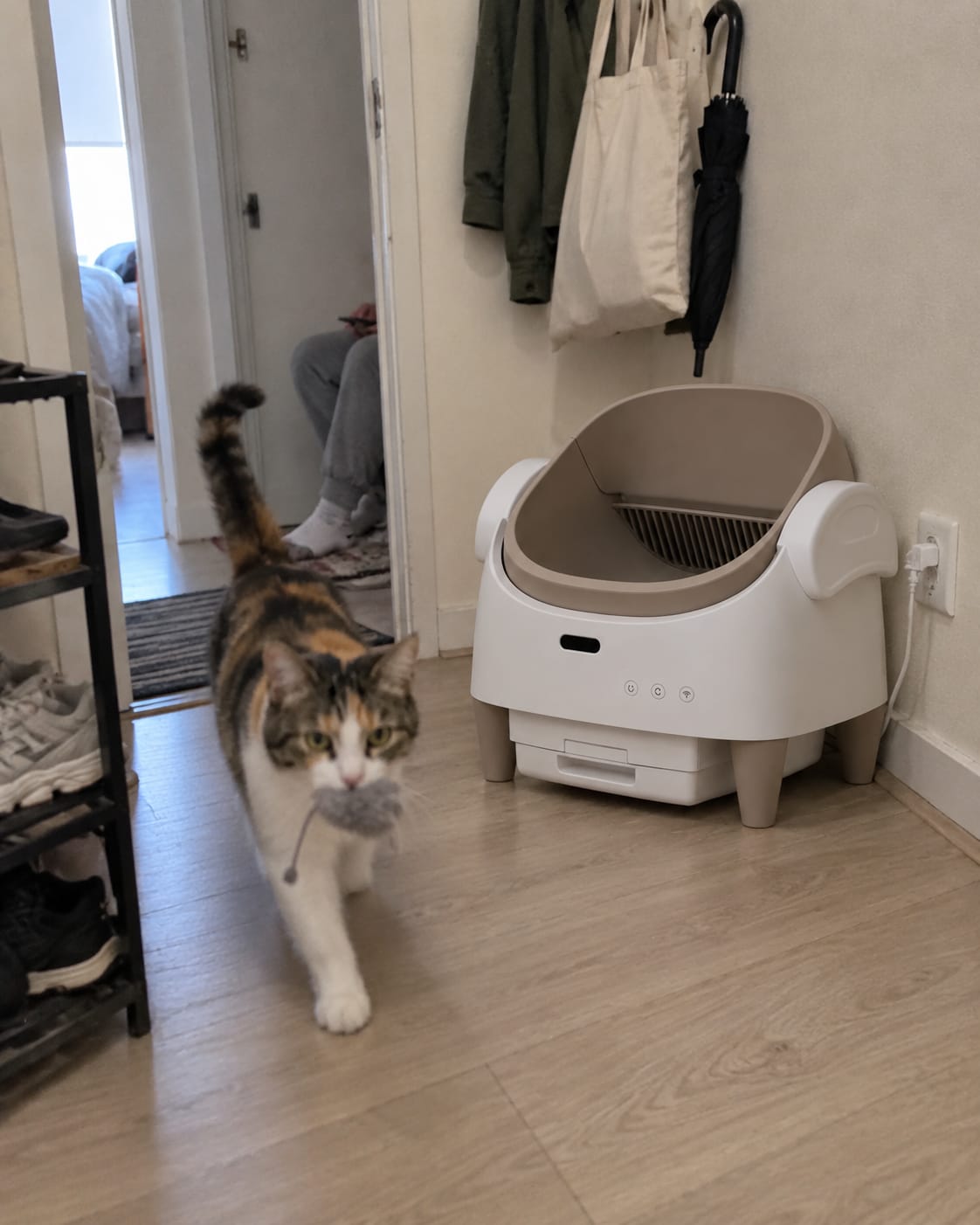Customer photo review of Automatic Self-Cleaning Cat Litter Box