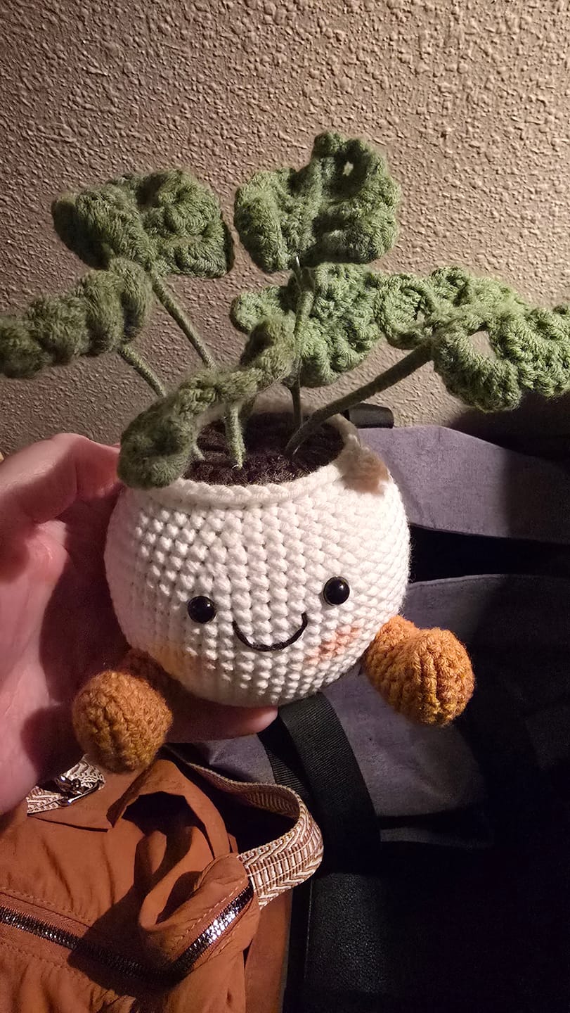 Customer photo review of Handmade Crochet Plant in Cute Pot – Crochet Flowers, Desk Decor, Mother’s Day, Birthday, Friendship & Anniversary Gift