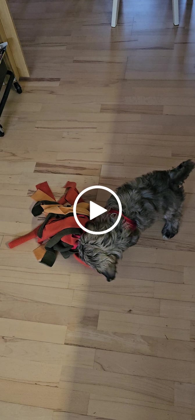 Customer video review of SnufFiesta: Den Ultimative Snusebold