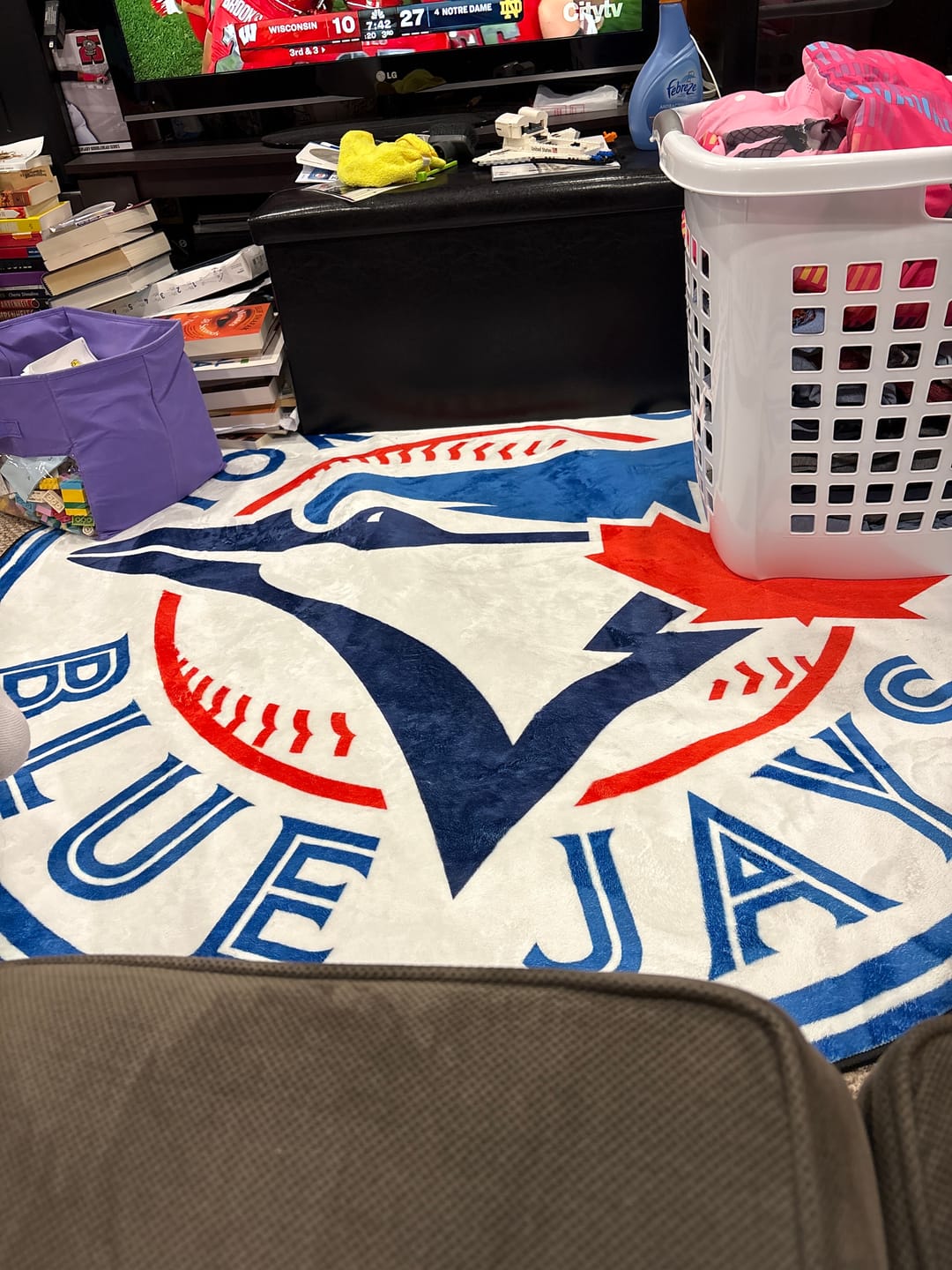 Customer photo review of Toronto Blue Jays Rug