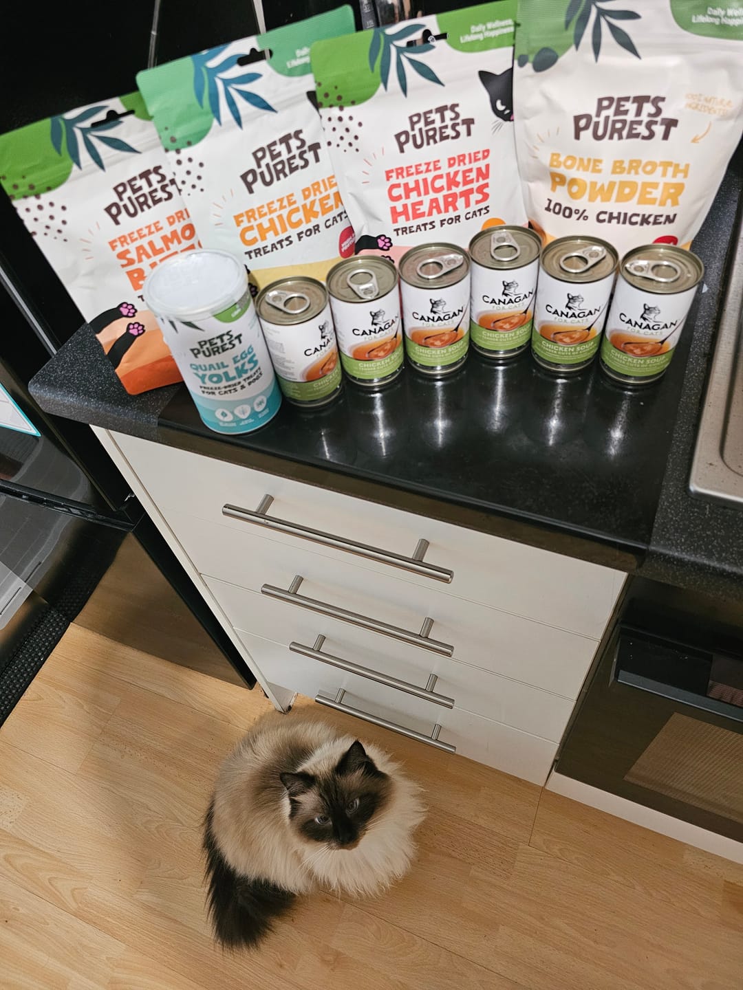 Customer photo review of Freeze-Dried Treats Feast