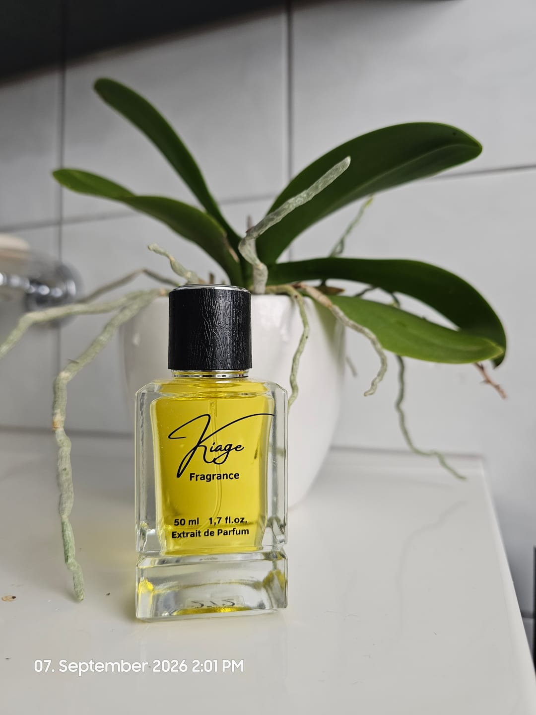 Customer photo review of Kiage 272