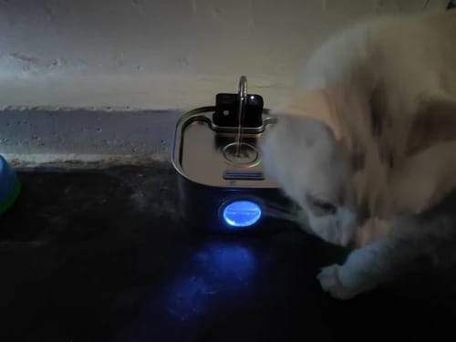 Customer photo review of 3.2L Pet Water Fountain – Wireless or Plug-In Options