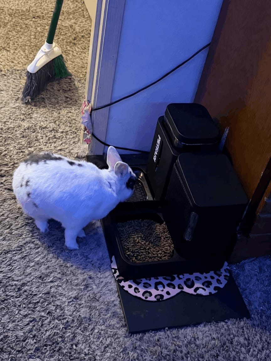 Customer photo review of Futter- & Wasserspender DuoFlow