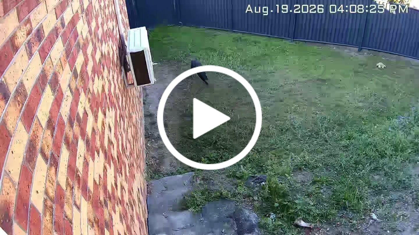Customer video review of Solar Camera Pro 3.0 WIFI®