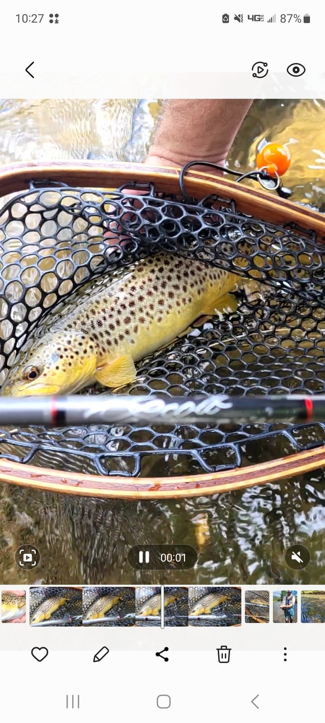 Customer photo review of Scott Centric Fly Rod