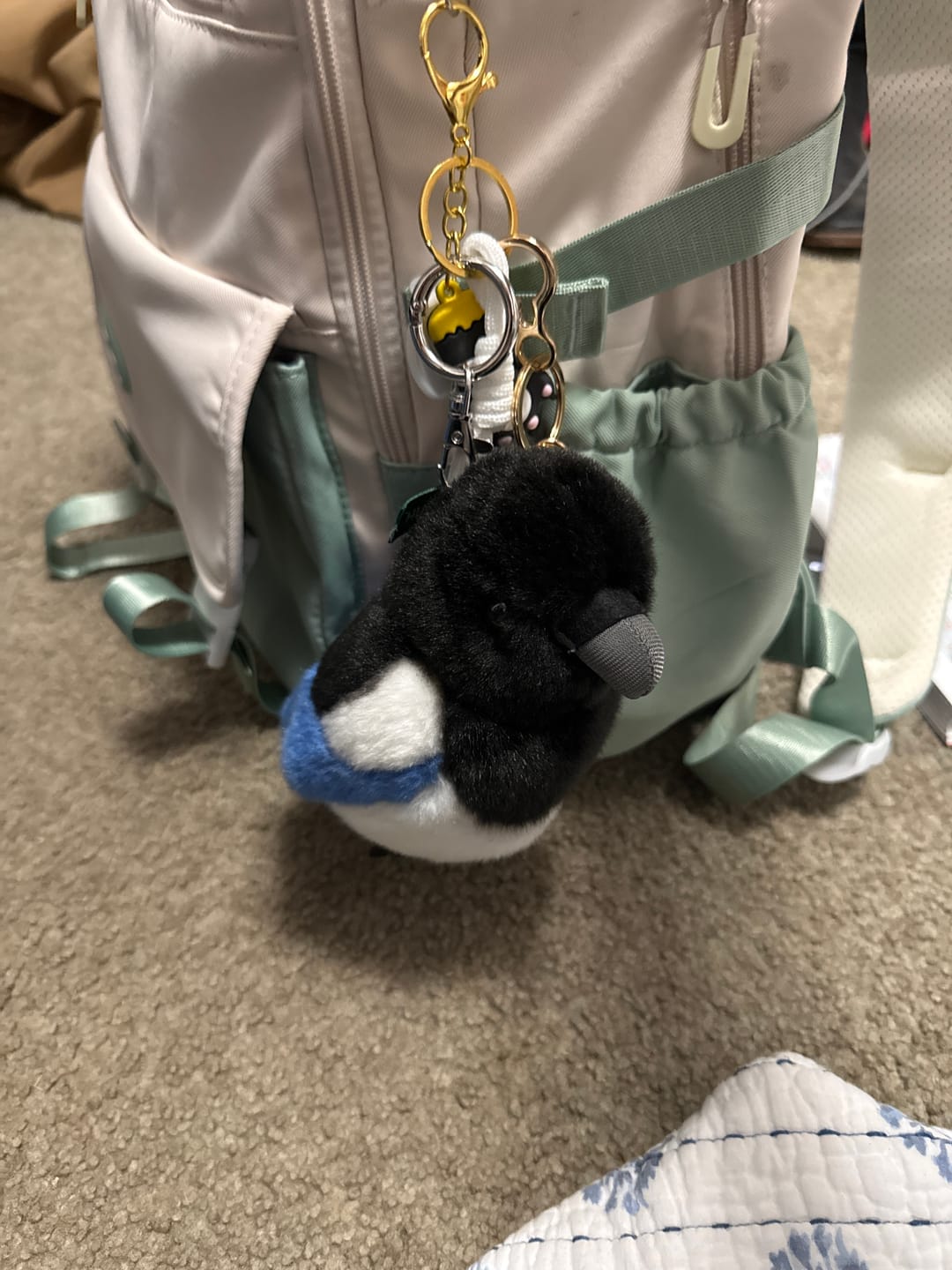 Customer photo review of Black-Billed Magpie Plush Toy with Hanging Loop – Lifelike, Chubby, and Perfect for Bird Lovers