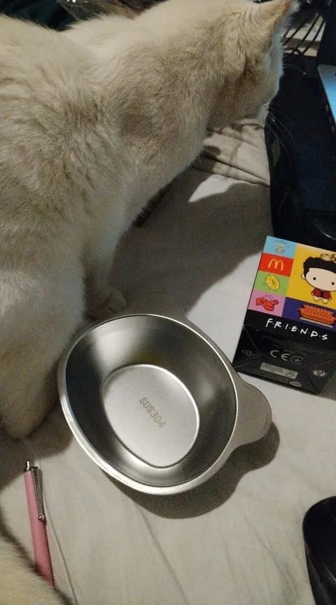 Customer photo review of Comedero ortopédico - Gato