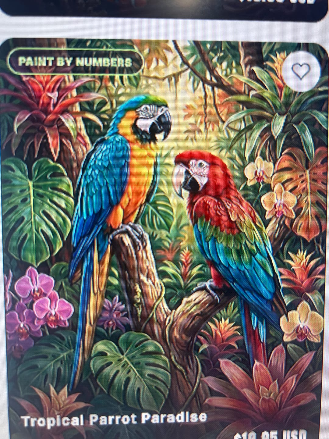Customer photo review of Tropical Parrot Paradise (Paint by Numbers)