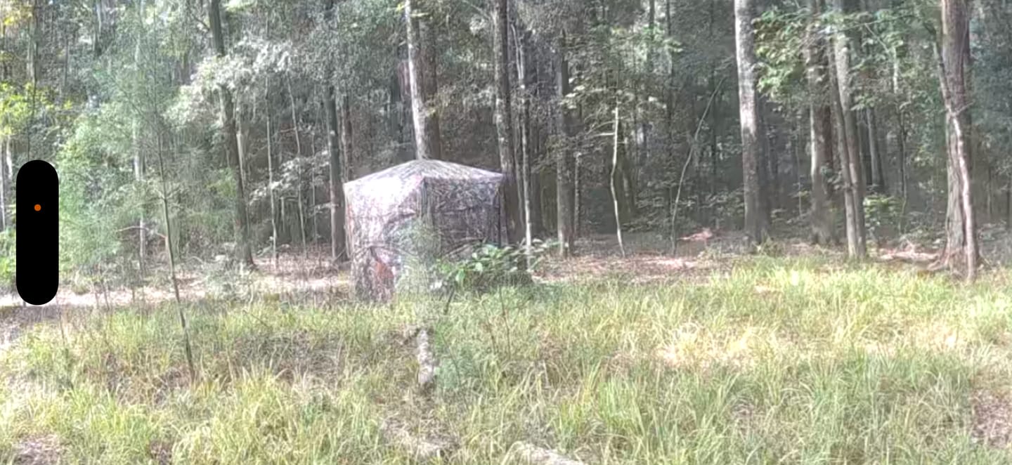 Customer photo review of VisTall 360 See-Through Ground Blind | 75-Inch 3 Person Pop Up Deer Blind with No-Trip Door | Portable Camo Hunting Blind with Blackout Curtain for Whitetail Deer Hunting