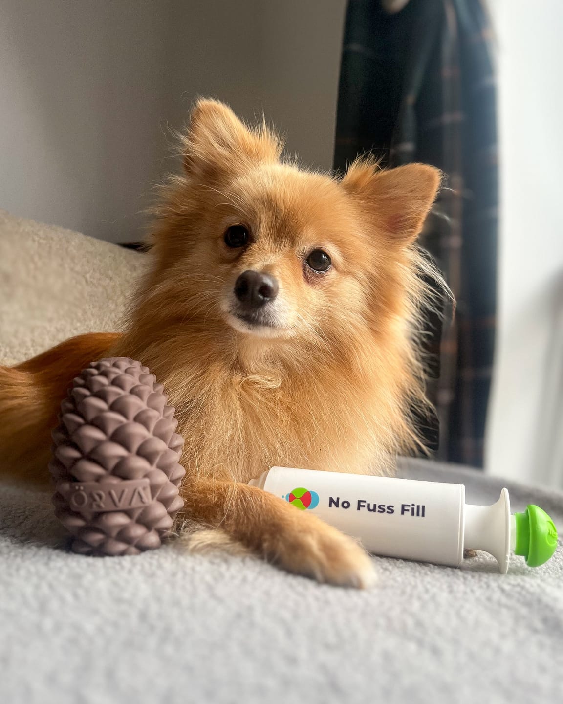 Customer photo review of Ancol Orva Pine Cone Bundle | Exclusive Stuffable Dog Enrichment Toy with No Fuss Fill