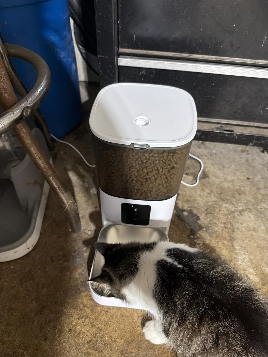 Customer photo review of Futterautomat mit Kamera VisionFeed