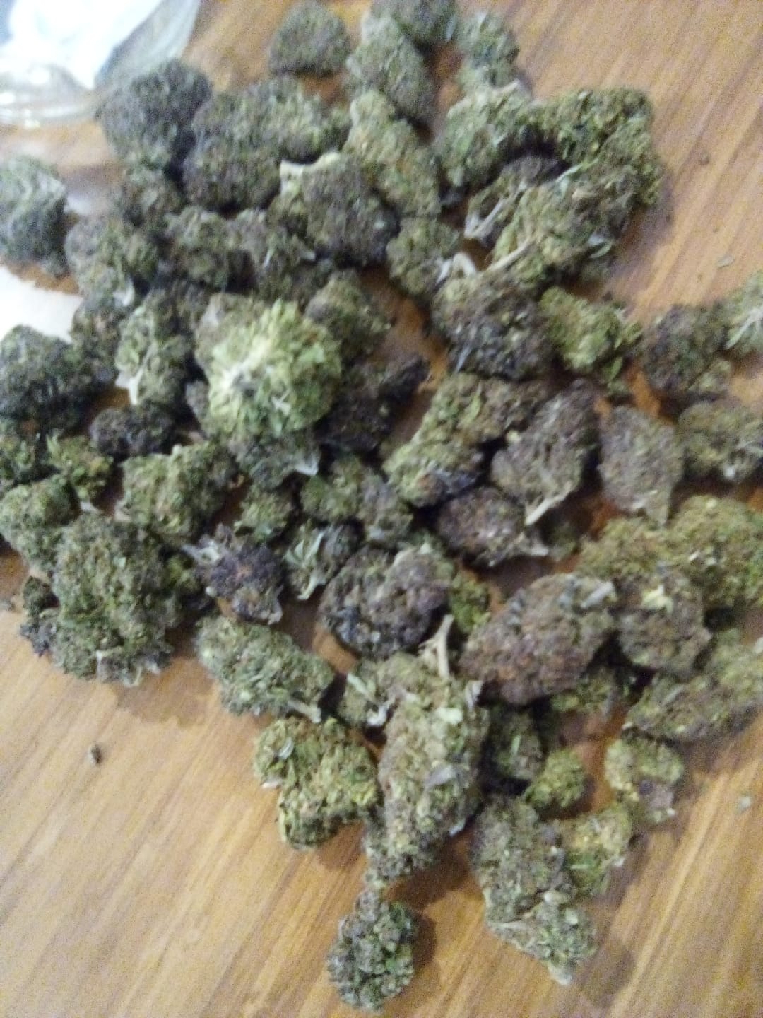 Customer photo review of Granddaddy Purple Flower