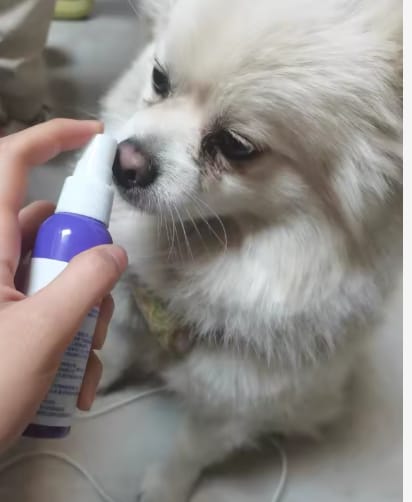 Customer photo review of Spray Dental Para Perros y Gatos
