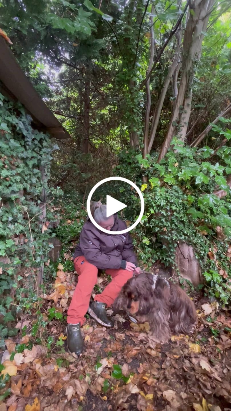 Customer video review of Unisex Allround Pants 2.0 I Tawney I Kort længde I Siebe (Dame)