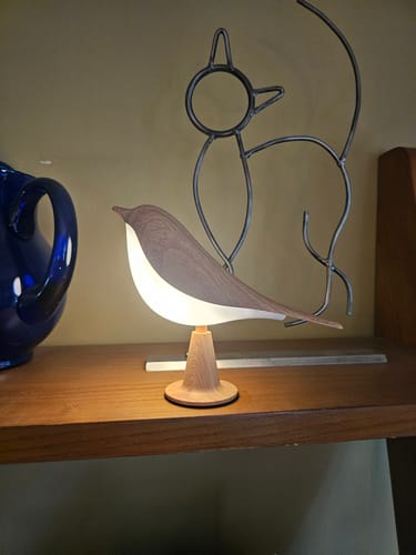 Customer's wooden Glow Bird lamp glowing warmly on a shelf beside a metal wire cat ornament.