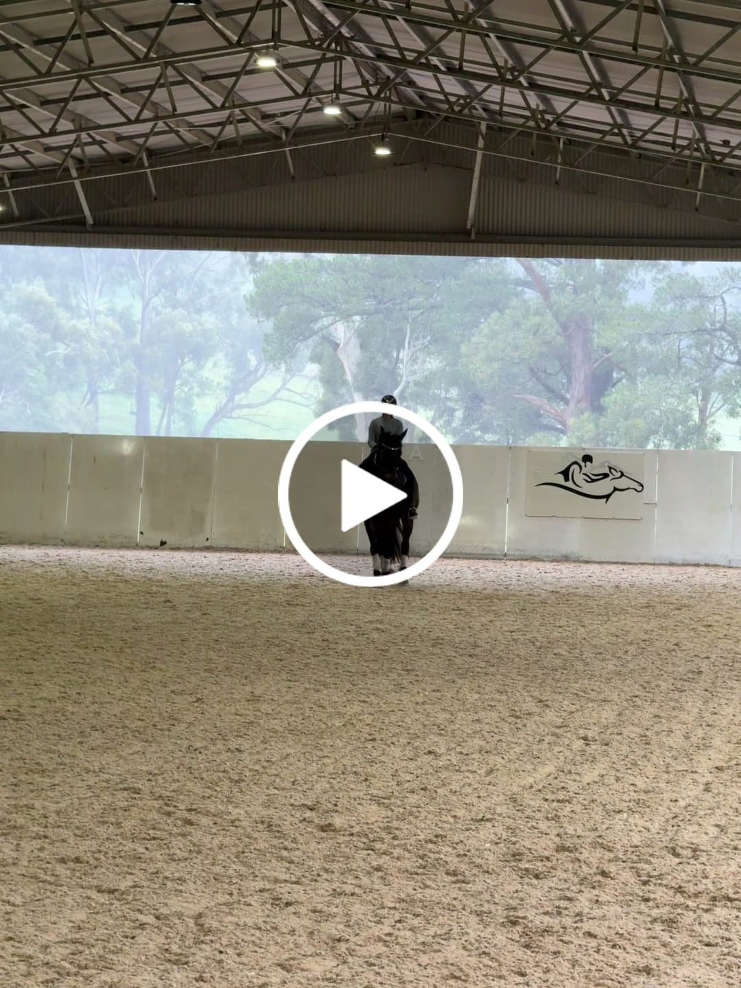 Customer video review of Ulcer Armour+