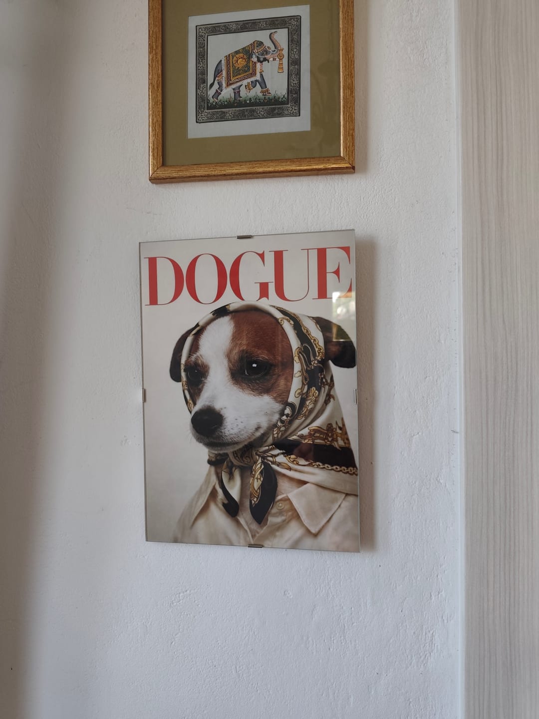 Customer photo review of Dogue - Poster personalizzato