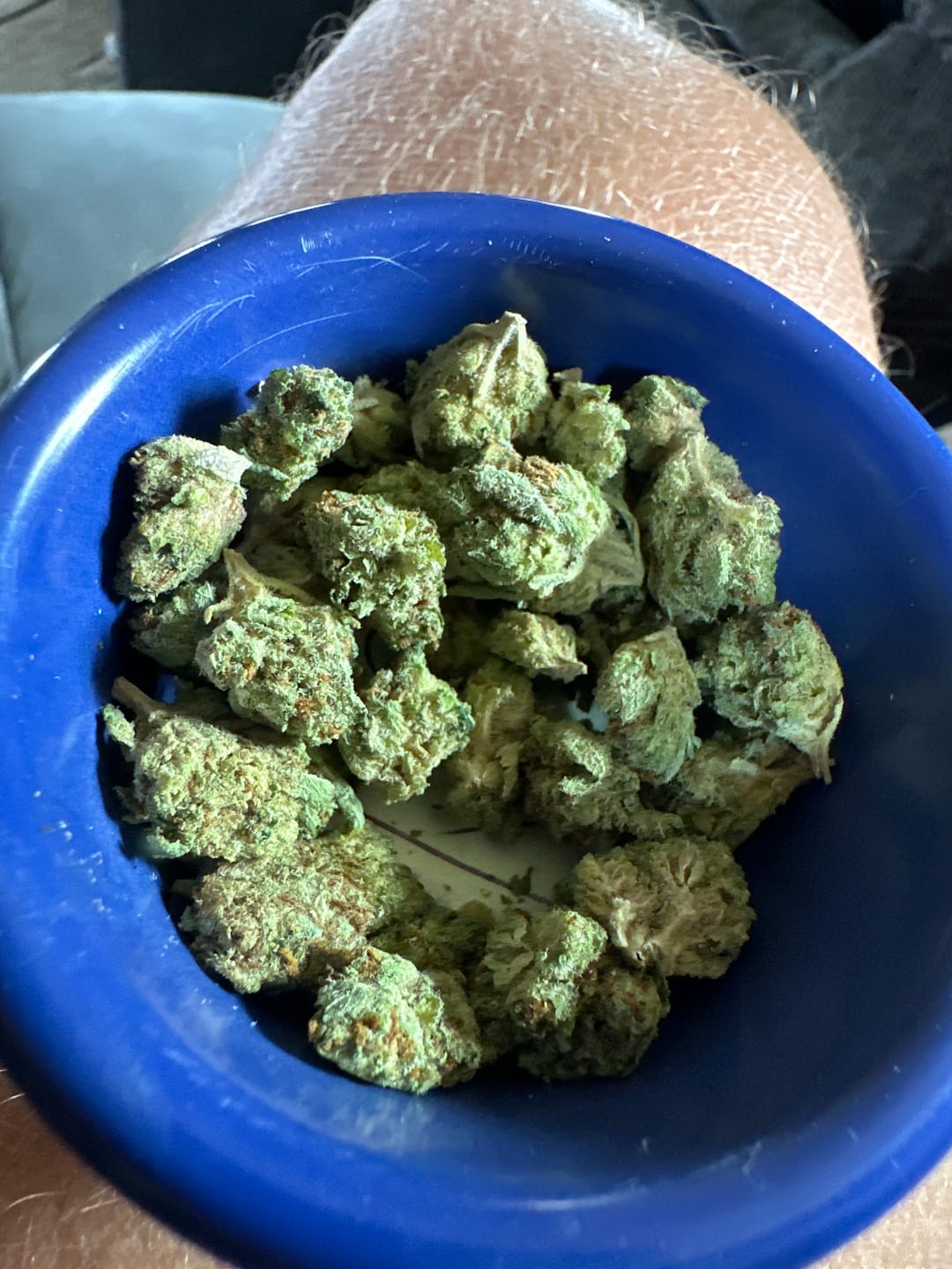 Customer photo review of Grease Monkey Minis - Bulk Minis - Indica