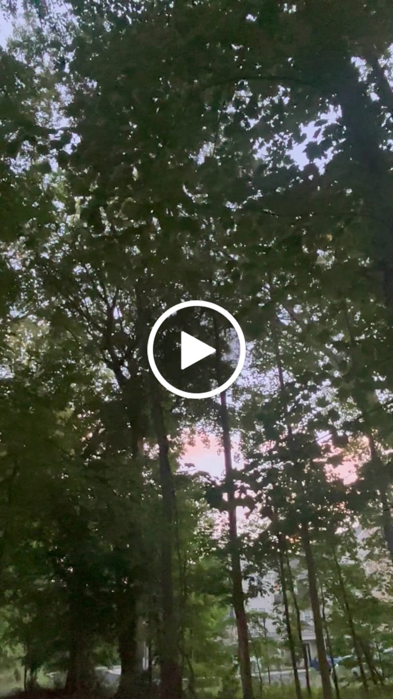 Customer video review of Blue Dream - 14 Grams - Sativa