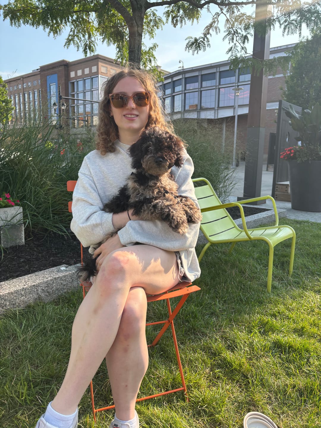 Customer photo review of Revolution Purple For Very Small Dog 5-10lbs (2.5-5kg)