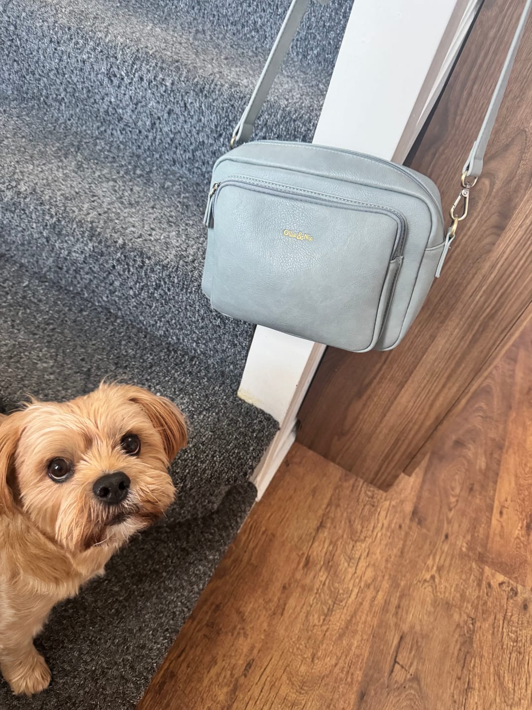 Customer photo review of Bertie Maxi Crossbody - Duck Egg