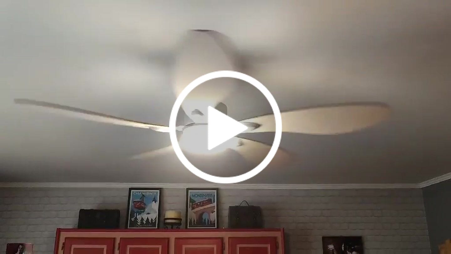 Customer video review of Libellule | Ventilateur de plafond